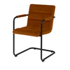 Scaun catifea MARO | model FLOR