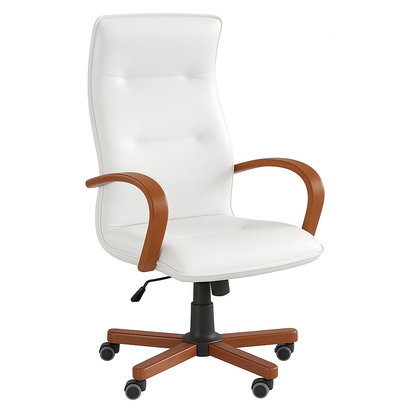 Scaun ergonomic piele ALBA | model OMEGA P