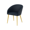 Scaun piele BEJ | model IBIS