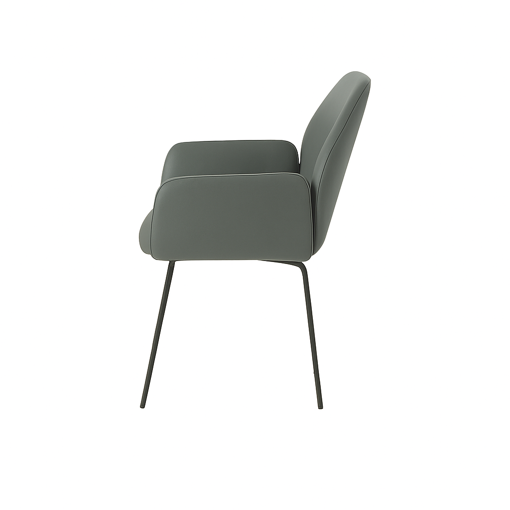 Scaun piele ALBA | model PETRA